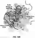Fig. 66 - ANTI-KLK5 ANTIBODIES AND METHODS OF USE