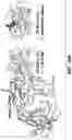 Fig. 69 - ANTI-KLK5 ANTIBODIES AND METHODS OF USE