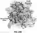 Fig. 70 - ANTI-KLK5 ANTIBODIES AND METHODS OF USE