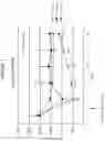Fig. 08 - Anti-CD38 antibodies