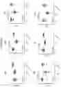 Fig. 09 - Anti-CD38 antibodies