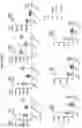 Fig. 10 - Anti-CD38 antibodies