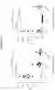 Fig. 11 - Anti-CD38 antibodies