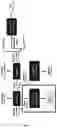 Fig. 06 - Enzymatic-assisted hydrothermal extraction of hemicelluloses