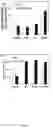 Fig. 16 - Enzymatic-assisted hydrothermal extraction of hemicelluloses
