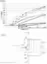 Fig. 02 - (METH)ACRYLIC RESIN AND METHOD FOR CONTROLLING STRAIN THEREOF