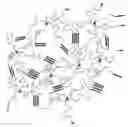 Fig. 01 - Star isobutylene-based thermoplastic elastomers