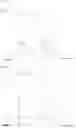Fig. 19 - Biodegradable polyionenes