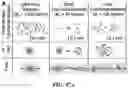 Fig. 50 - ASSOCIATIVE POLYMERS AND RELATED COMPOSITIONS, METHODS AND SYSTEMS