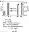Fig. 56 - ASSOCIATIVE POLYMERS AND RELATED COMPOSITIONS, METHODS AND SYSTEMS