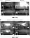 Fig. 57 - ASSOCIATIVE POLYMERS AND RELATED COMPOSITIONS, METHODS AND SYSTEMS