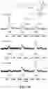 Fig. 63 - ASSOCIATIVE POLYMERS AND RELATED COMPOSITIONS, METHODS AND SYSTEMS