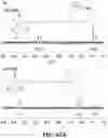 Fig. 67 - ASSOCIATIVE POLYMERS AND RELATED COMPOSITIONS, METHODS AND SYSTEMS