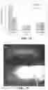 Fig. 81 - ASSOCIATIVE POLYMERS AND RELATED COMPOSITIONS, METHODS AND SYSTEMS