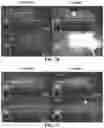 Fig. 82 - ASSOCIATIVE POLYMERS AND RELATED COMPOSITIONS, METHODS AND SYSTEMS