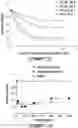 Fig. 16 - Process for producing an anionic lignin copolymer under aqueous acid conditions