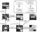 Fig. 01 - Processing method for intelligent hydrogel from nanometer starch particles