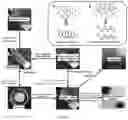 Fig. 02 - Processing method for intelligent hydrogel from nanometer starch particles