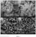 Fig. 04 - Processing method for intelligent hydrogel from nanometer starch particles