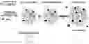 Fig. 01 - Polymeric gel and preparation method therefor, and article comprising same