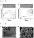 Fig. 03 - Polymeric gel and preparation method therefor, and article comprising same