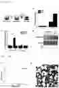 Fig. 07 - Polymeric gel and preparation method therefor, and article comprising same