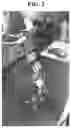 Fig. 03 - POLYMER-CERAMIC HYBRID FILM HAVING MECHANICAL PROPERTIES AND ELASTICITY, AND METHOD FOR MANUFACTURING SAME