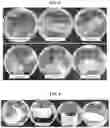Fig. 04 - POLYMER-CERAMIC HYBRID FILM HAVING MECHANICAL PROPERTIES AND ELASTICITY, AND METHOD FOR MANUFACTURING SAME