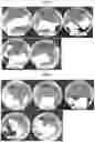 Fig. 05 - POLYMER-CERAMIC HYBRID FILM HAVING MECHANICAL PROPERTIES AND ELASTICITY, AND METHOD FOR MANUFACTURING SAME