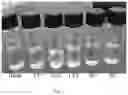 Fig. 02 - Polypropylene film structure having increased life time