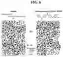 Fig. 06 - Method of preparing chemically modified anion exchange membrane