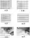Fig. 03 - SELF-HEALING POLYMER COMPOSITION AND ASSOCIATED USES