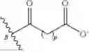 Fig. 33 - Nanoprobe-metal chelator complexes