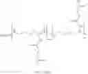 Fig. 35 - Nanoprobe-metal chelator complexes