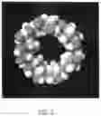 Fig. 04 - Self-assembled nano-structured particle and methods for preparing