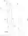Fig. 03 - BIOMASS PROCESSING DEVICES, SYSTEMS, AND METHODS