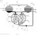 Fig. 07 - Stage and system for compressing cracked gas