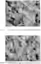 Fig. 03 - WOOD PROCESSING METHOD
