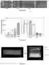 Fig. 20 - Tissue printer