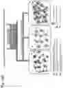 Fig. 16 - DEVICE FOR EVALUATION OF CHEMICAL SUBSTANCE AND METHOD FOR EVALUATION OF CHEMICAL SUBSTANCE