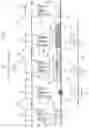 Fig. 02 - CELL TRANSFER APPARATUS