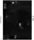 Fig. 10 - Cell culture media and method for culturing breast cancer cells