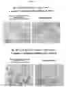Fig. 07 - CELL CULTURING USING NANOFIBERS