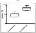 Fig. 04 - Material and method for producing cell receiving scaffold
