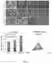 Fig. 03 - Multi donor stem cell compositions and methods of making same