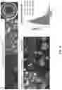 Fig. 05 - Multi donor stem cell compositions and methods of making same
