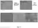 Fig. 08 - Multi donor stem cell compositions and methods of making same