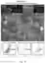 Fig. 18 - Multi donor stem cell compositions and methods of making same