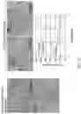 Fig. 24 - Multi donor stem cell compositions and methods of making same