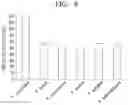 Fig. 15 - Transaminases and method, for deaminating amino compound, using same
